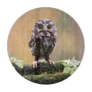 Planche À Découper Animaux de bébés cutest   Un hibou-bébé