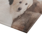 Planche À Découper Animaux de bébés cutest | Un mignon seau de chiots (Coin)