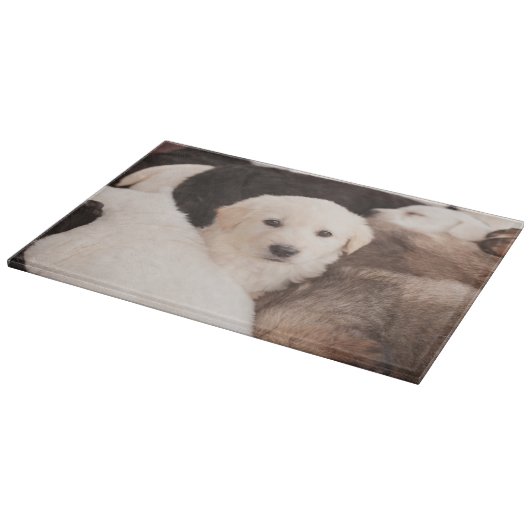 Planche À Découper Animaux de bébés cutest | Un mignon seau de chiots (Coin)