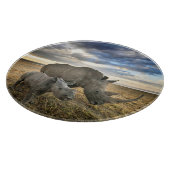 Planche À Découper Animaux de bébés cutest | White Rhino & Calf (Coin)