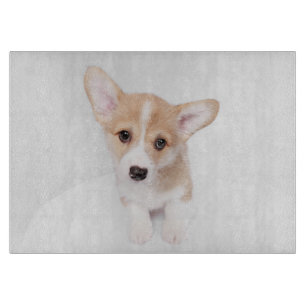 Planche À Découper Animaux de bébés cutest Young Corgi Puppy