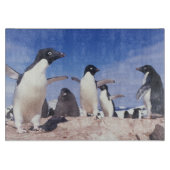Planche À Découper Antarctique, Manchot Adélie Pygoscelis (Devant)