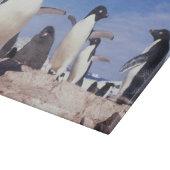 Planche À Découper Antarctique, Manchot Adélie Pygoscelis (Coin)