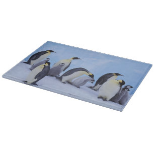 Planche À Découper Antarctique, Manchots empereurs