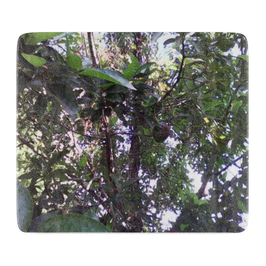 Planche À Découper Arbre Avocado (Devant)