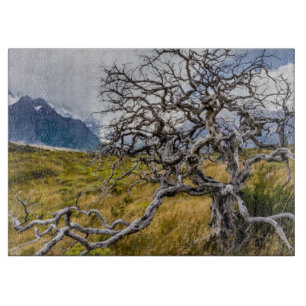 Planche À Découper Arbre brûlé, Torres del Paine, Chili