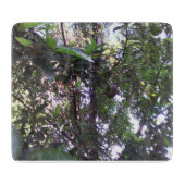 Planche À Découper Arbre d'avocatier (Devant)