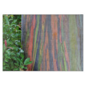 Planche À Découper Arbre d'eucalyptus arc-en-ciel (Devant)