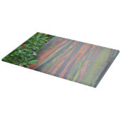 Planche À Découper Arbre d'eucalyptus arc-en-ciel (Coin)