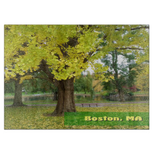 Planche À Découper Arbre Gingko jaune - Jardin public de Boston