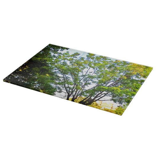 Planche À Découper Arbres Dans Le Parc D'Ottawa. Commandez dès mainte (Coin)