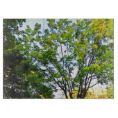 Planche À Découper Arbres Dans Le Parc D'Ottawa. Commandez dès mainte (Devant)