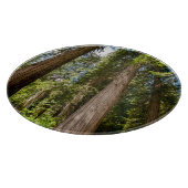 Planche À Découper Arbres de Cèdre Rouge de l'Ouest (Coin)