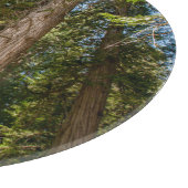 Planche À Découper Arbres de Cèdre Rouge de l'Ouest (Coin)