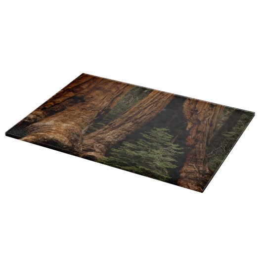 Planche À Découper Arbres de séquoia, Parc national de Sequoia. (Coin)