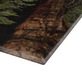 Planche À Découper Arbres de séquoia, Parc national de Sequoia. (Coin)