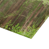 Planche À Découper Arbres séquoias du monument national Muir Woods (Coin)