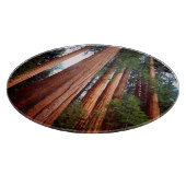 Planche À Découper arbres séquoias géants à feuilles rouges (Coin)