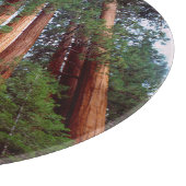 Planche À Découper arbres séquoias géants à feuilles rouges (Coin)