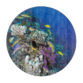Planche À Découper Around Small Coral (Devant)