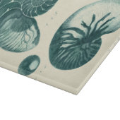 Planche À Découper Art de coquillage rouge et vert (Coin)