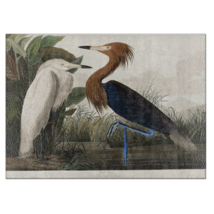 Planche À Découper Art vintage de l'aigrette roussâtre d'Audubon