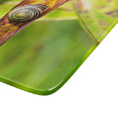 Planche À Découper attachement calme (Coin)