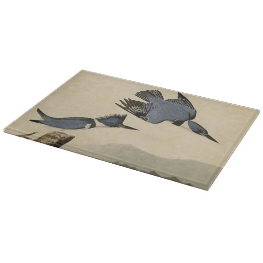 Planche À Découper Audubon Belted Kingfisher Wildlife Bird (Coin)