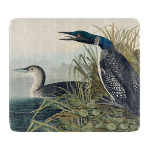 Planche À Découper Audubon Bird Loon Diver Classic