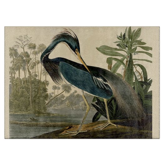 Planche À Découper Audubon Louisiana Heron Birds America Art (Devant)