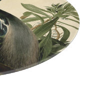 Planche À Découper Audubon Louisiana Heron Birds America Art (Coin)