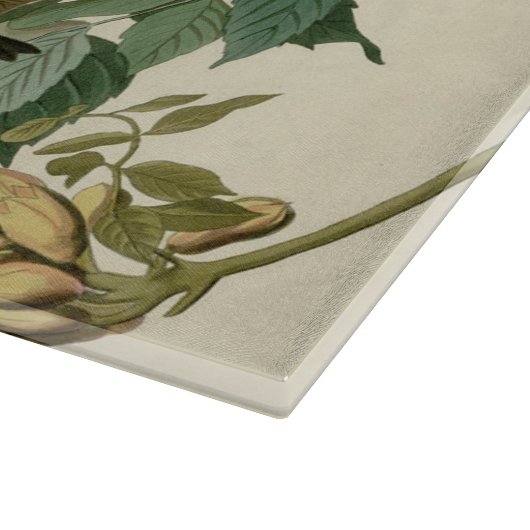 Planche À Découper Audubon Throsé de colibri (Coin)