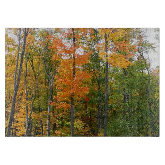Planche À Découper Automne Maple Trees Automne Photographie de la nat (Devant)