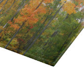 Planche À Découper Automne Maple Trees Automne Photographie de la nat (Coin)