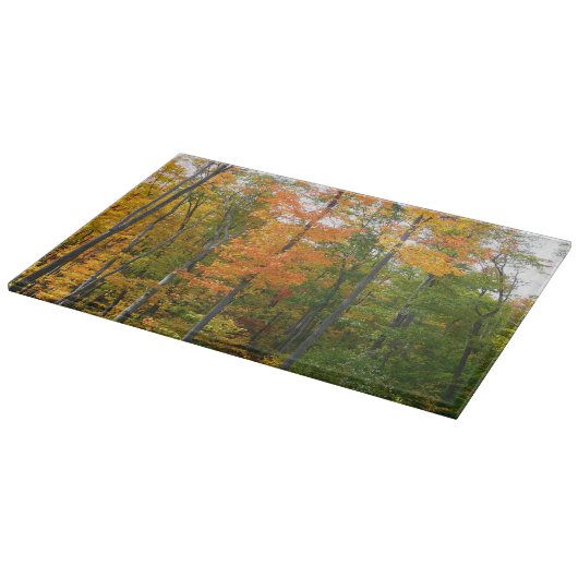 Planche À Découper Automne Maple Trees Automne Photographie de la nat (Coin)
