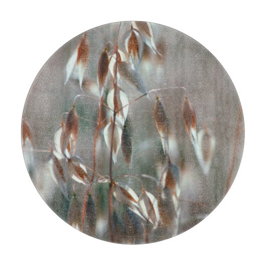 Planche À Découper Avoine Mûre (Avena Sativa) Gros Plan. Ceres, Bolan (Devant)