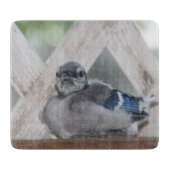 Planche À Découper Baby Blue Jay Cutting Board (Devant)