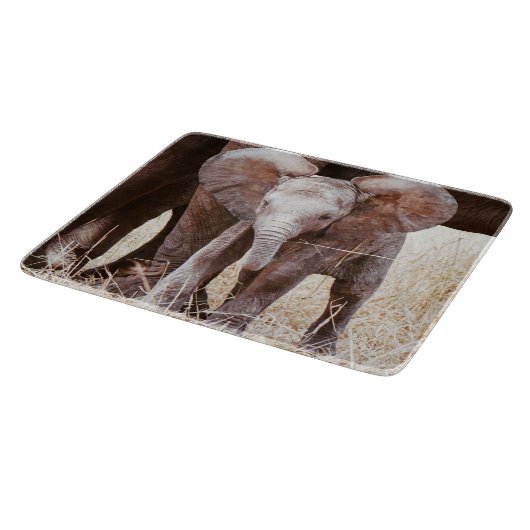 Planche À Découper Baby Elephant mignon Eléphant africain avec maman (Coin)