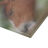 Planche À Découper Baie Shift Cheval Visage Animal (Coin)