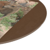 Planche À Découper Baiser de cerfs (Coin)