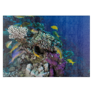 Planche À Découper Banc de rougets autour d'un petit corail