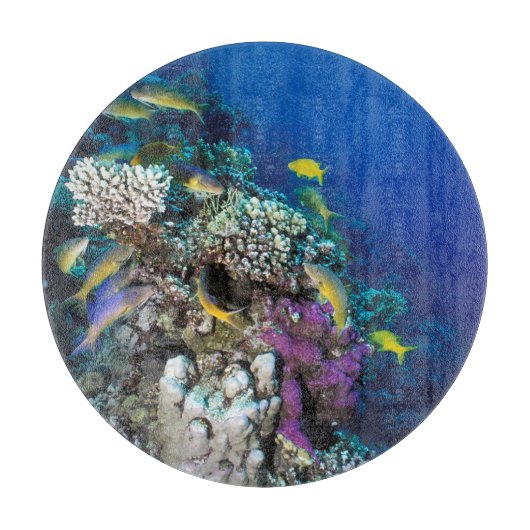 Planche À Découper Banc de rougets autour d'un petit corail (Devant)