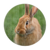 Planche À Découper Beau lapin (Devant)