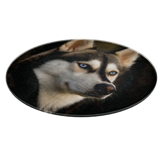Planche À Découper Beau Oreiller Husky Lrow (Coin)