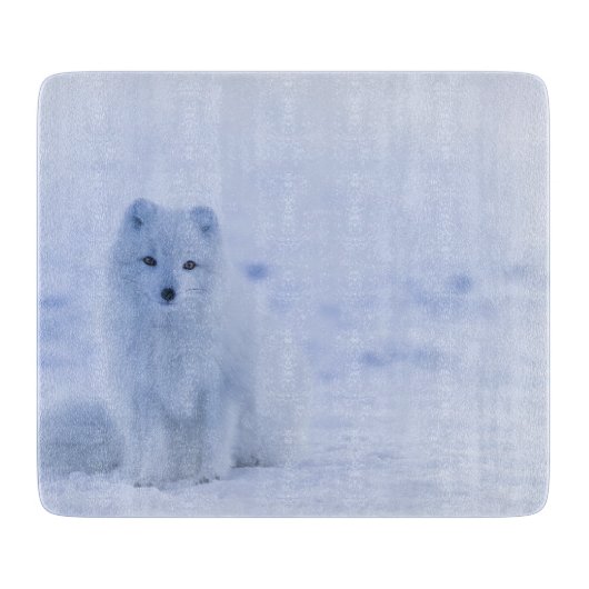 Planche À Découper Beau renard arctique (Devant)