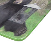 Planche À Découper Beau verre d'ours noir (Coin)
