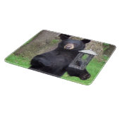 Planche À Découper Beau verre d'ours noir (Coin)