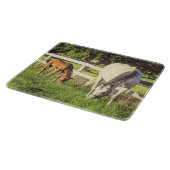 Planche À Découper Beautiful Horse and Foal Farmhouse (Coin)