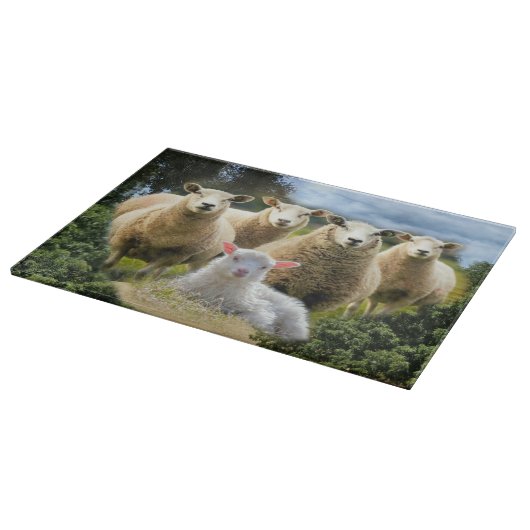 Planche À Découper Bébé agneau mouton troupeau troupeau troupeau (Coin)
