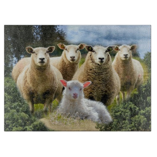 Planche À Découper Bébé agneau mouton troupeau troupeau troupeau (Devant)